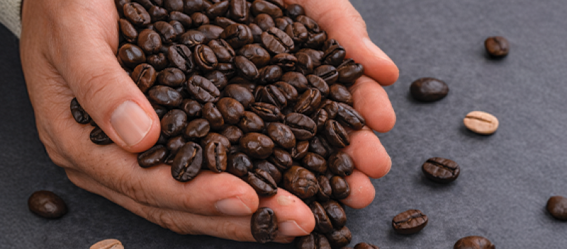 Cafés en grain